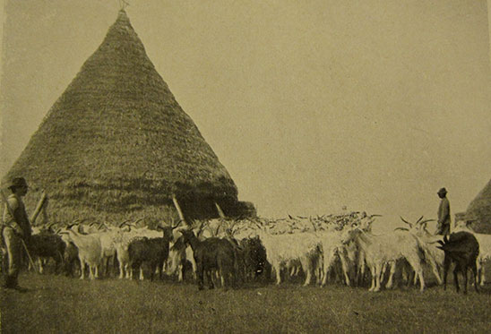 Lindsay Harris - “Africa” alle porte di Roma: fotografia e Latina Tellus (1910)