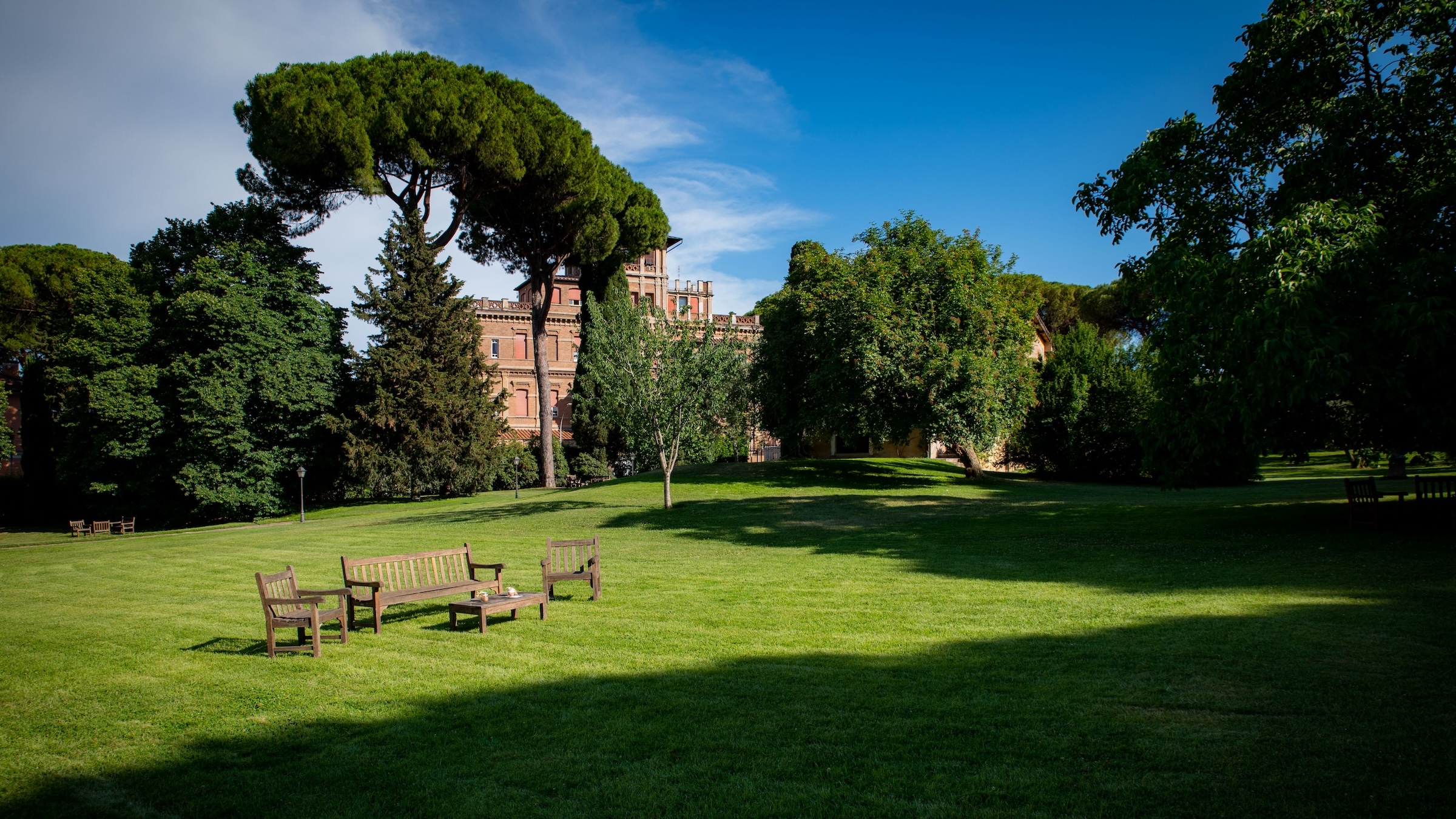 Lawn with trees behind