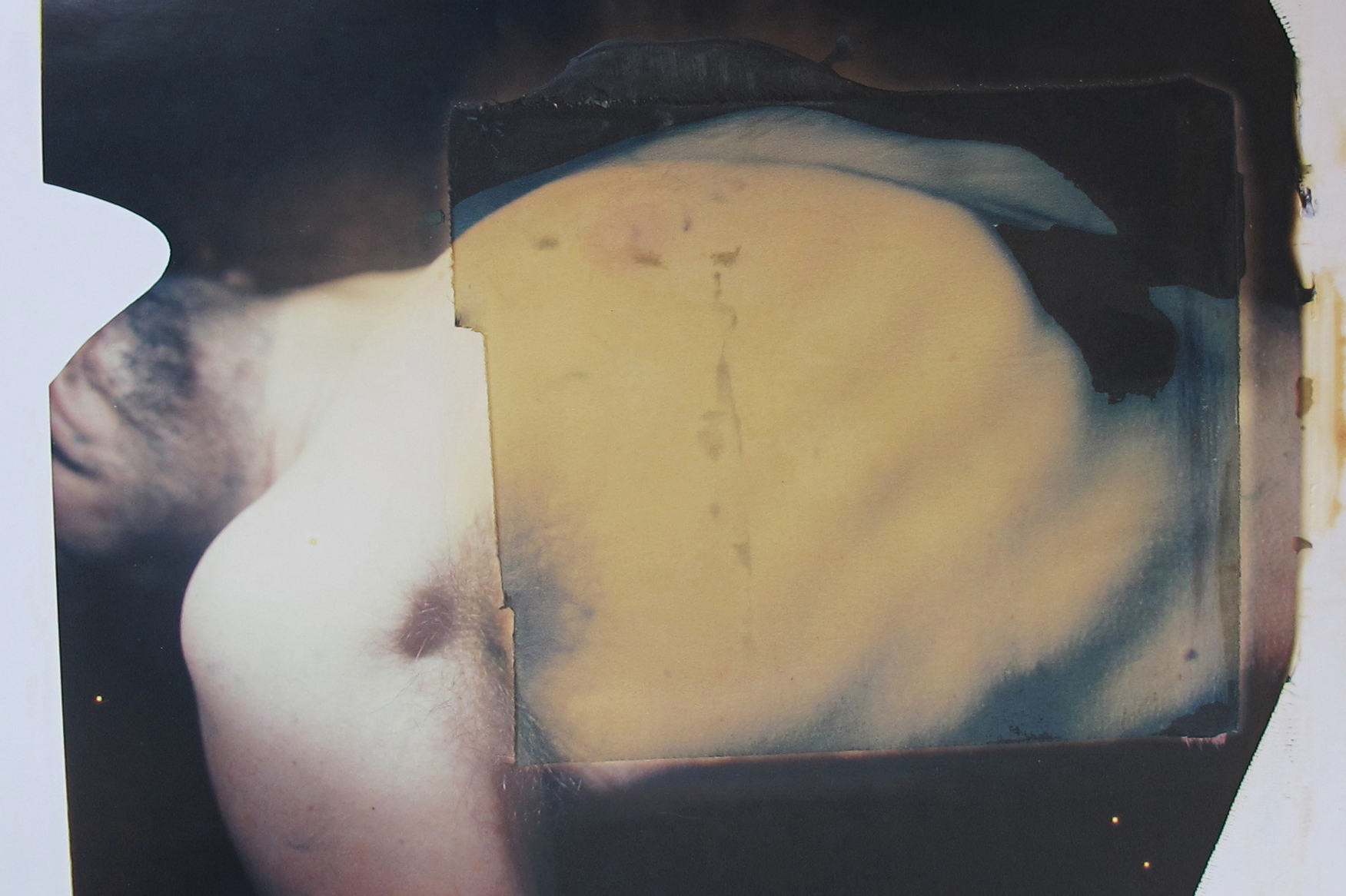 Paolo Gioli: Anthropolaroid