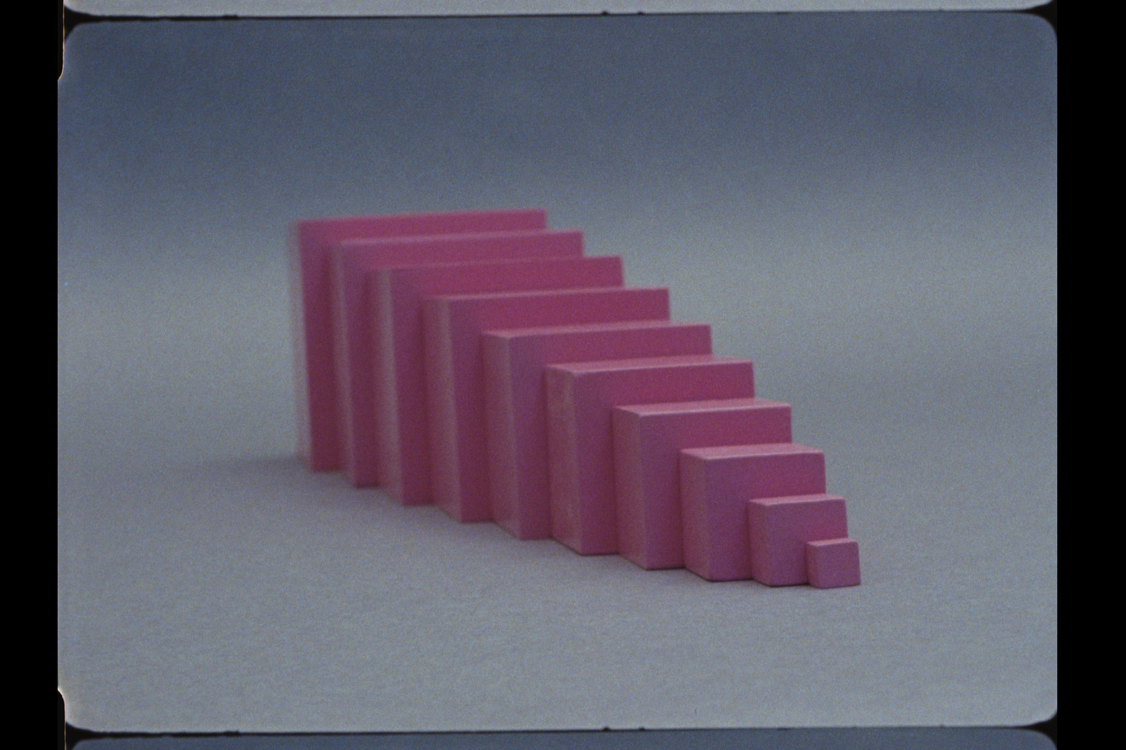 Yto Barrada, the Dye Garden - purple