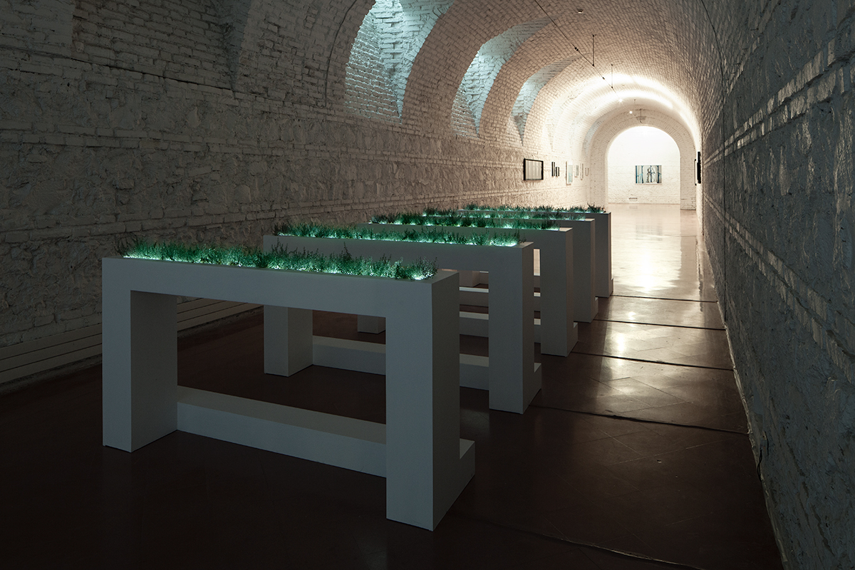 Cinque Mostre: Time and Again