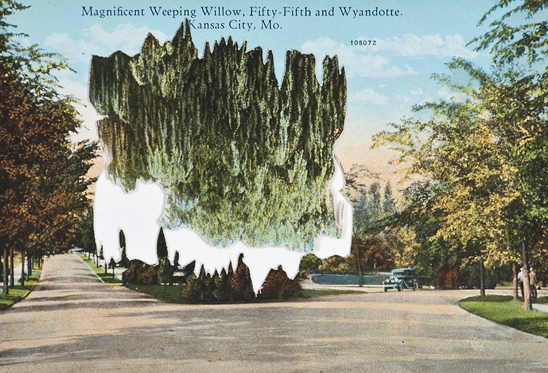 Bright Lights Shine for the Arts in Rome During Four Days in December