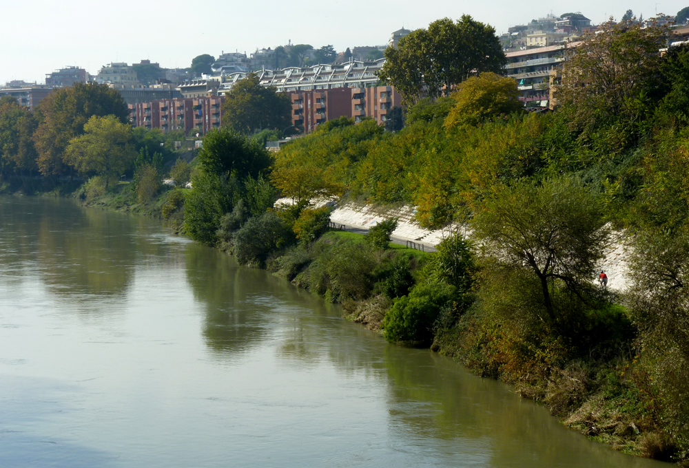 Barry Strauss is Focused on the Theater and Porticus of Pompey