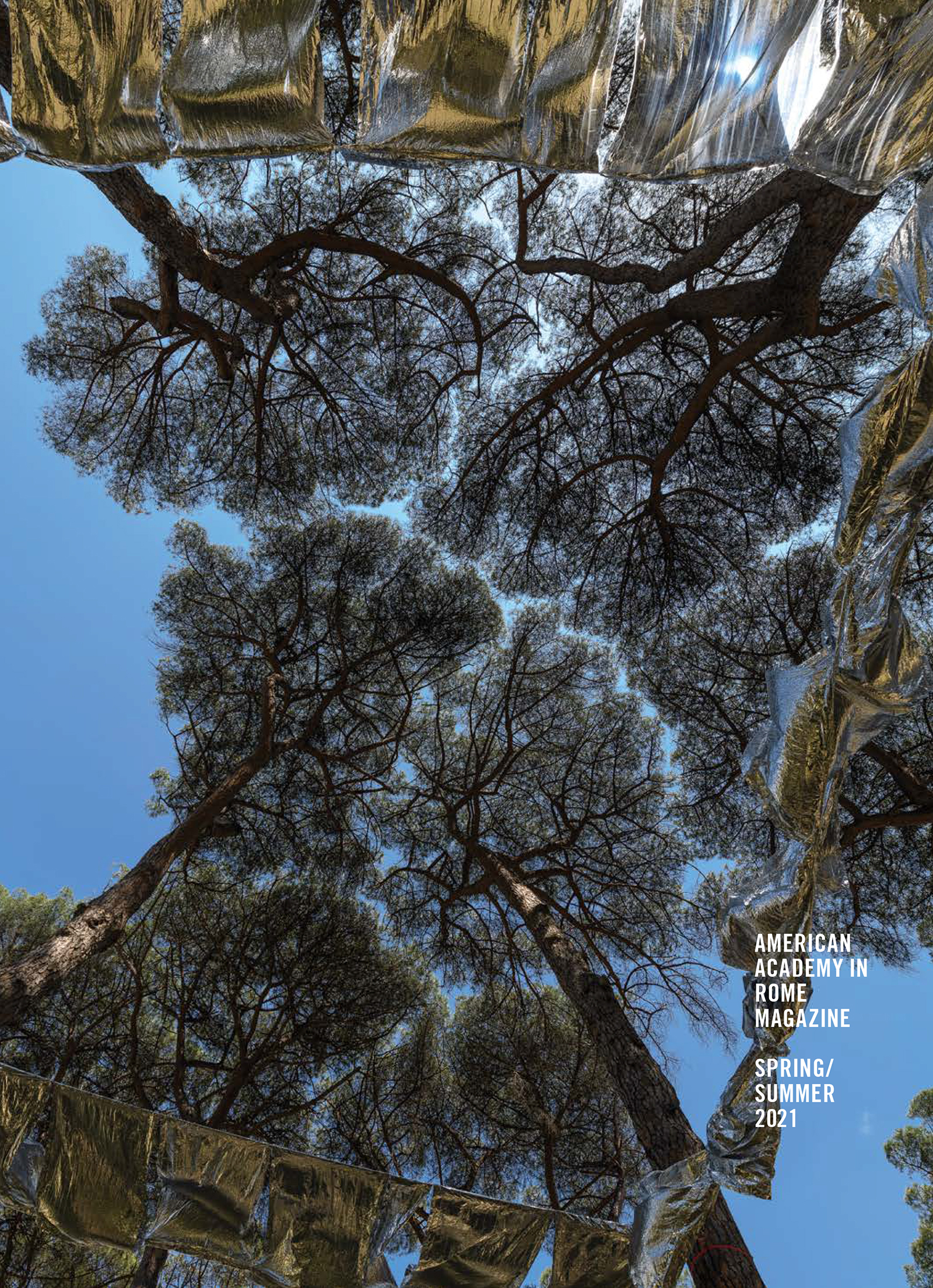 Cover of the Spring Summer 2021 issue of AAR Magazine Cover of the spring summer 2021 issue of AAR Magazine, featuring an artwork by Francesca Berni of silver blankets attached to umbrella pine trees