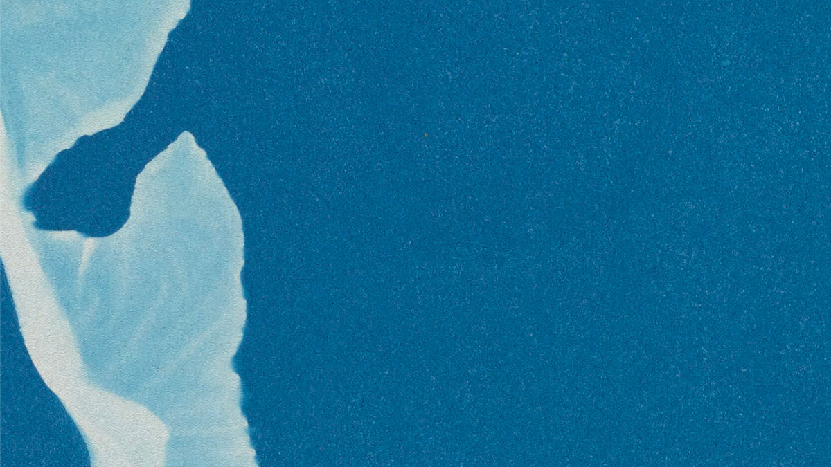 Detail of a book cover showing a close up of a cyanotype of a flower