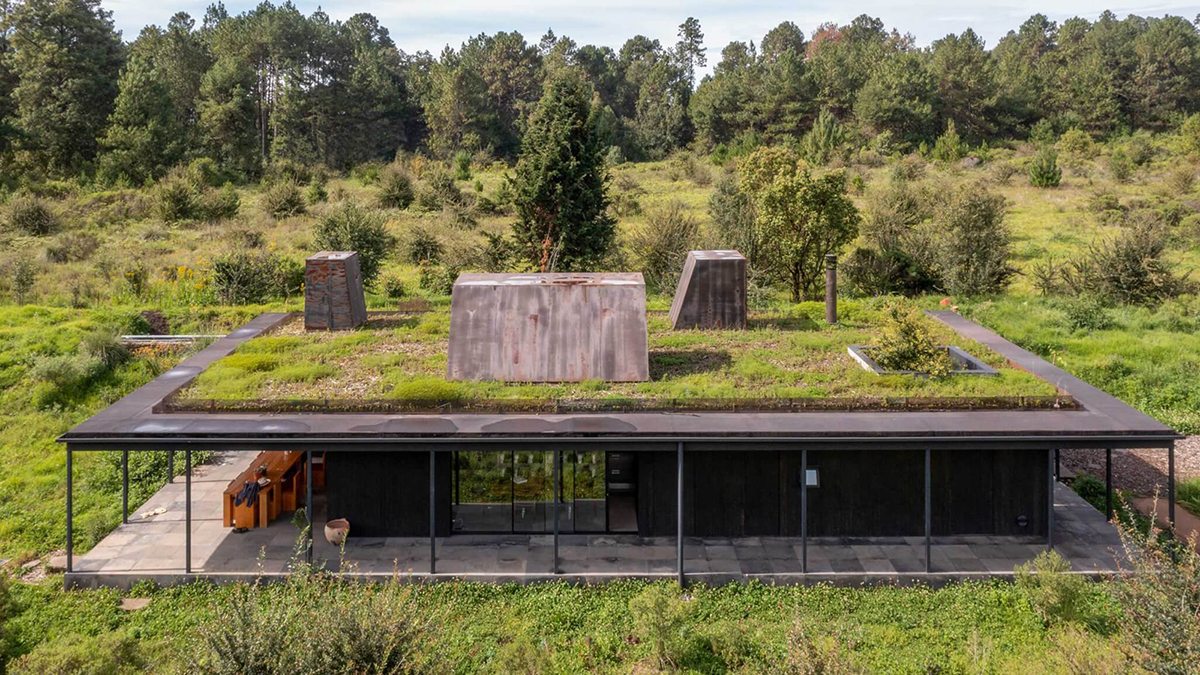 Color photograph of a one story modern house in a landscape, with greenery growing on its flat roof