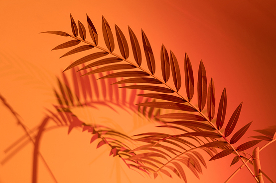 Rä di Martino in Milan