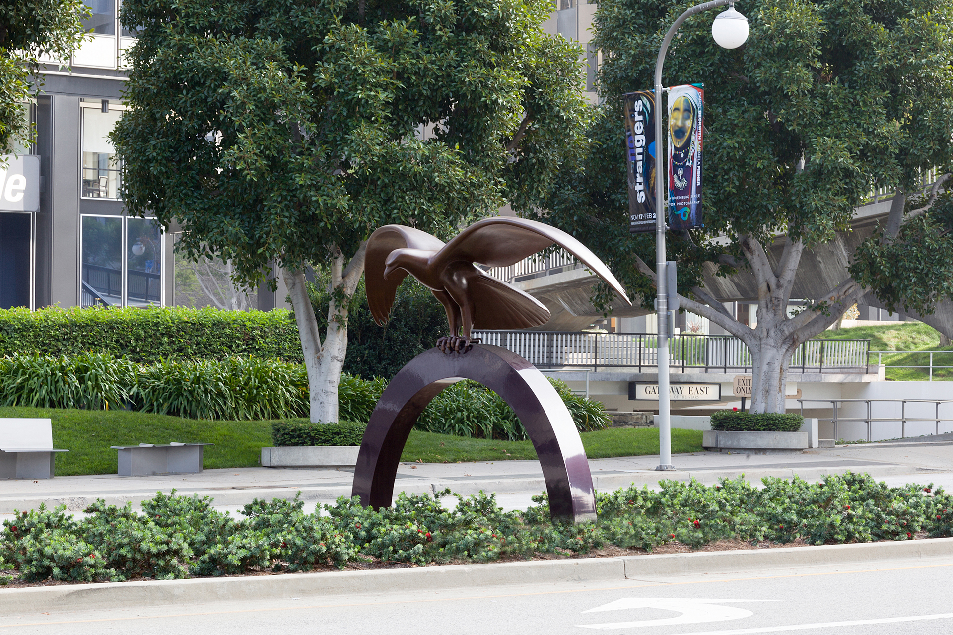 Gwynn Murrill - Flying Eagle