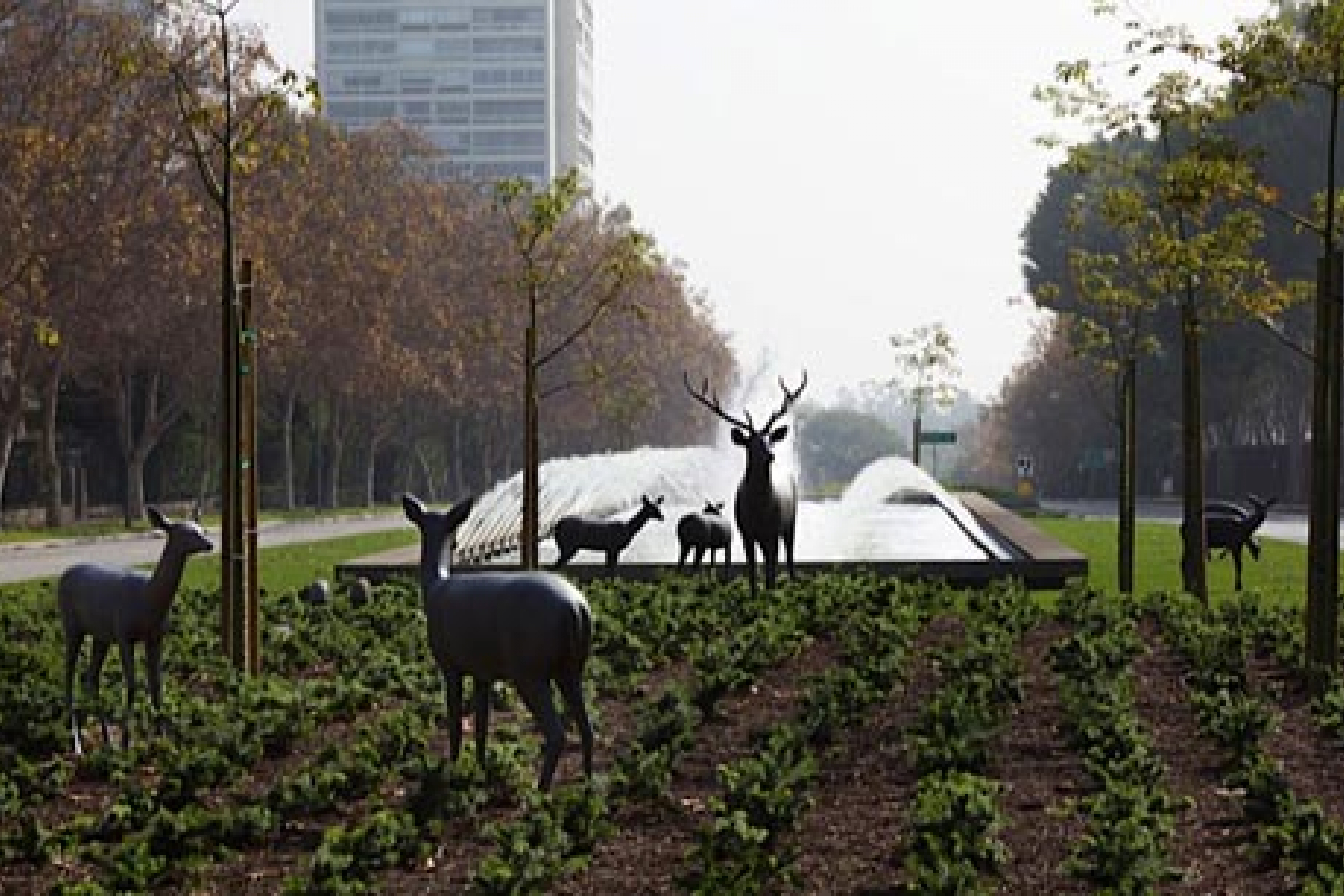 SOF Events March 2013