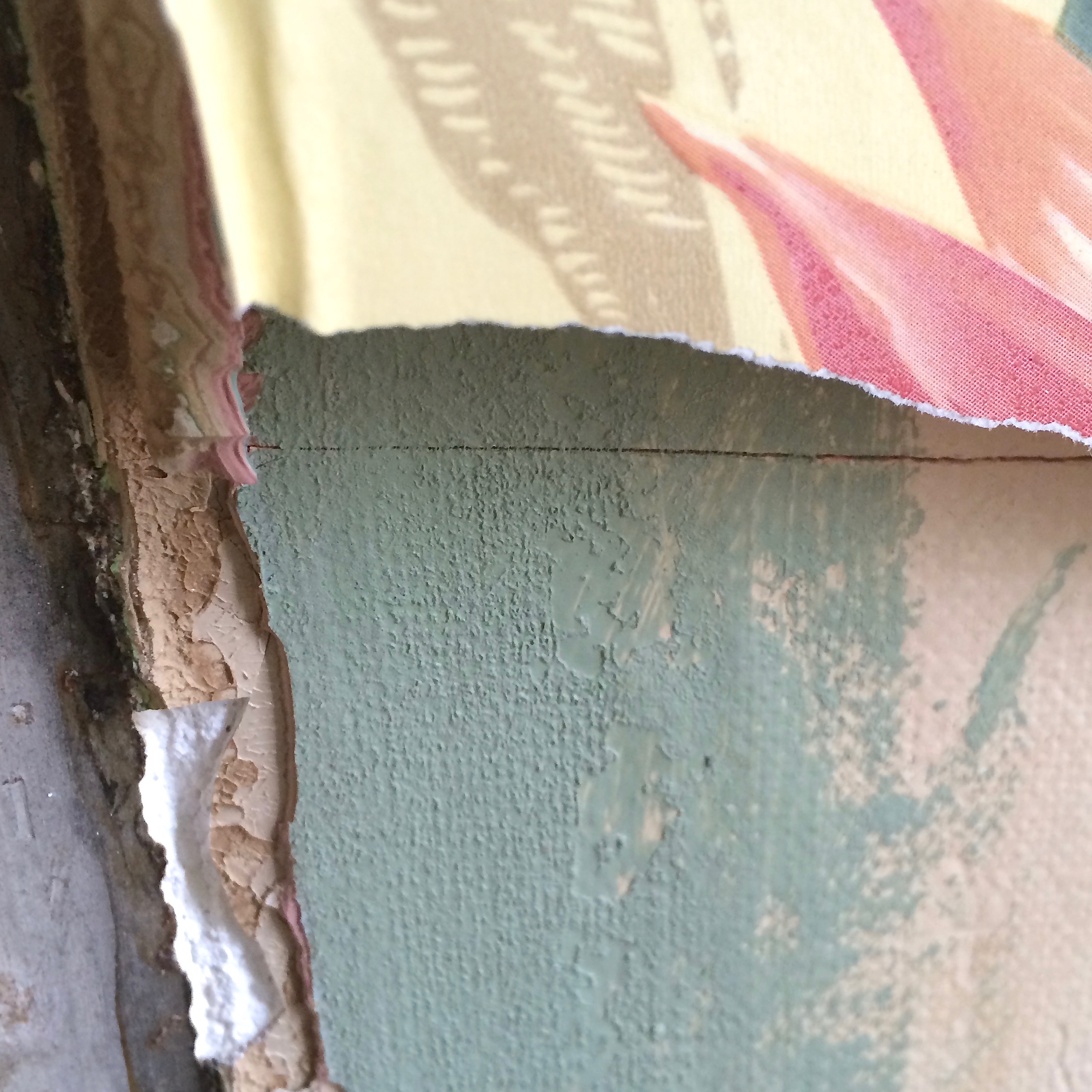 SOF News January 2017