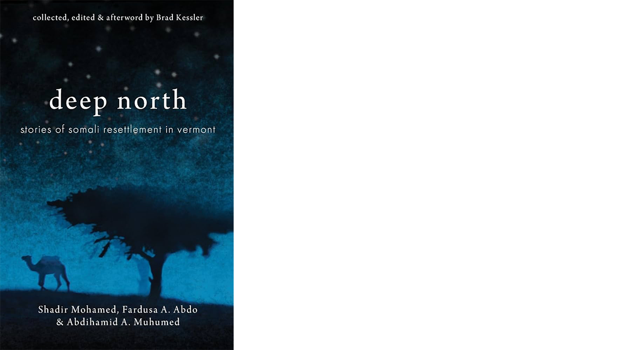 Book Cover Deep North