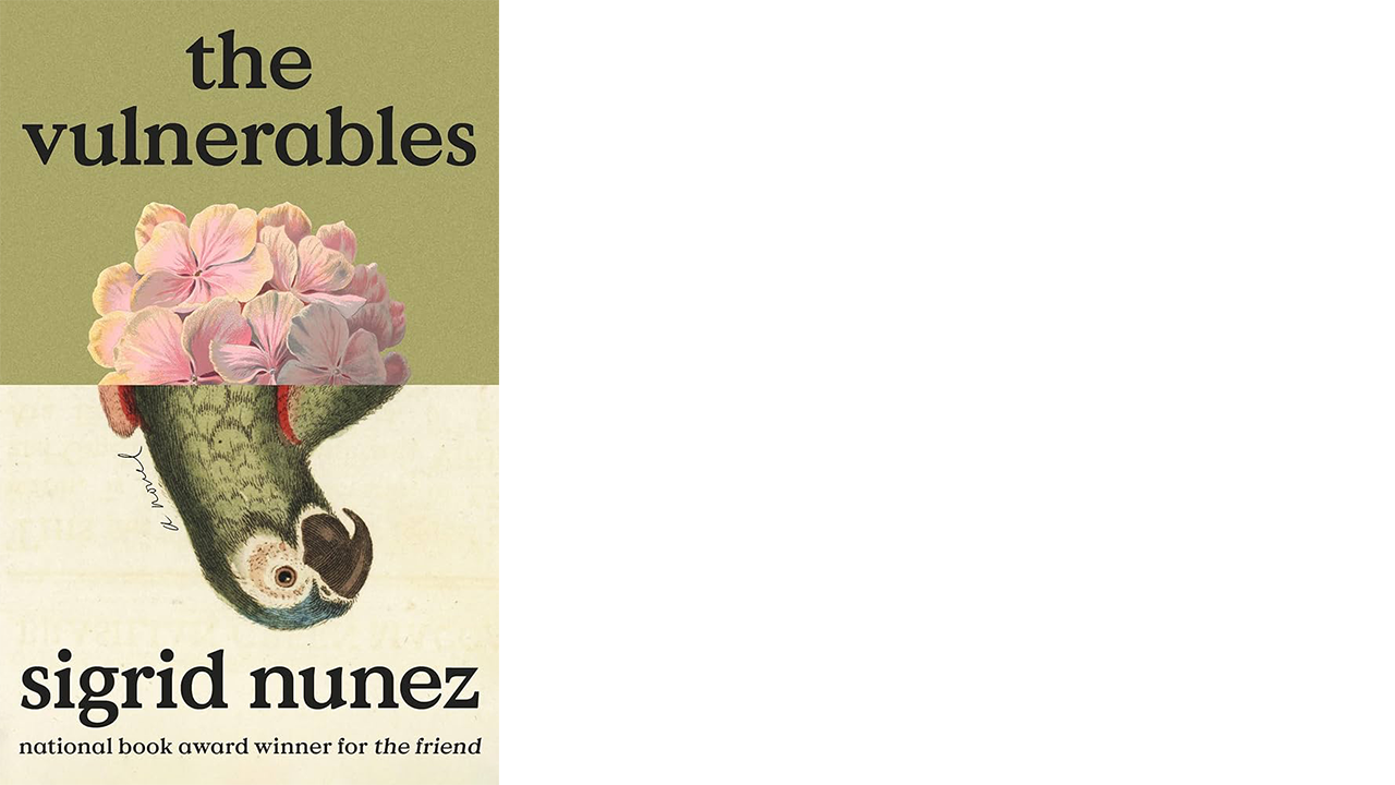 Book cover the Vulnerables