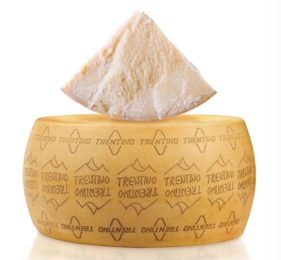 Color photograph of an enormous wheel of cheese